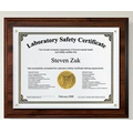 Certificate Frame / Overlay Plaque Kit with Choice of Finish (10 1/2"x13")
